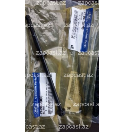  Hyundai Sonata 2004-2009 bolt nasos 213902500